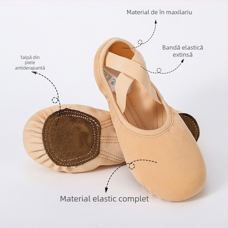 Pantofi de dans – Unisex, pentru adulți, partea superioară Lycra elastică, talpă din piele, balet și dans modern (Toate sezoanele)