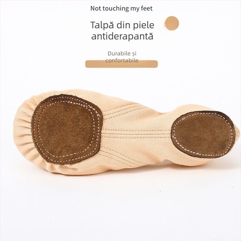 Pantofi de dans – Unisex, pentru adulți, partea superioară Lycra elastică, talpă din piele, balet și dans modern (Toate sezoanele)