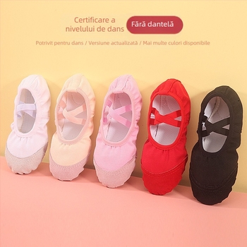 Pantofi de dans unisex pentru copii, destinați baletului, dans modern și latino – partea superioară din pânză, talpă din piele, respirabili, ușori