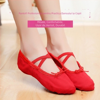 Pantofi de Dans pentru Copii - Ușori, Respirabili, Rezistenți, cu Talpă din Piele și Vârf din Pânză, pentru Fete, Balet, Interior
