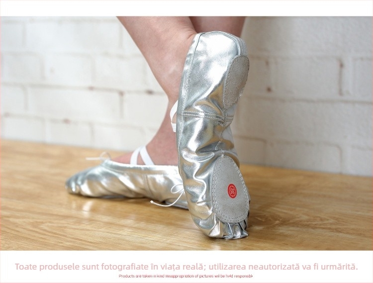 Pantofi de balet pentru copii, unisex | talpă din piele; partea superioară din piele sintetică; destinat baletului