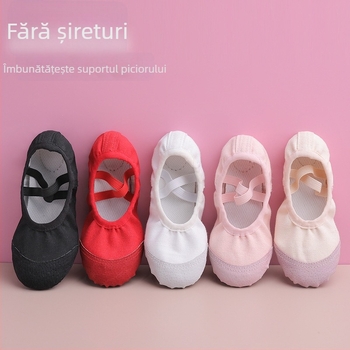 Pantofi de dans pentru balet, modern, latino - partea superioară din pânză, talpă din piele, unisex, ușoare