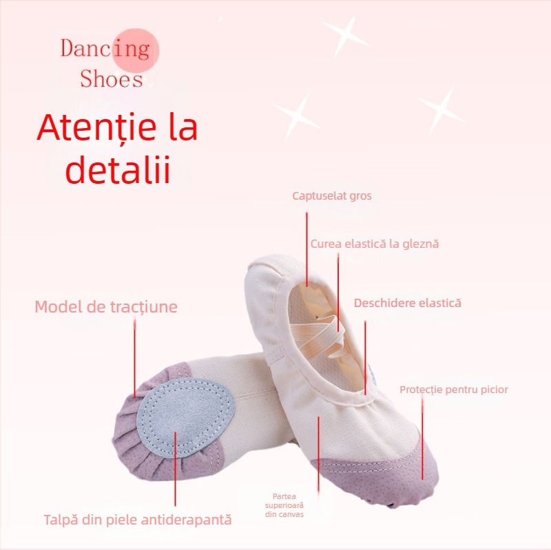 Pantofi de dans pentru balet, modern, latino - partea superioară din pânză, talpă din piele, unisex, ușoare