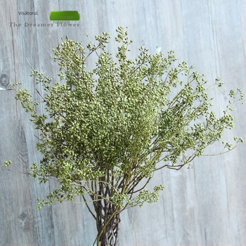 Flori uscate de fructe pentru decor acasă — Brand: The Dreamer Flower; Material: flori uscate; Proces: 22408001136; Tip: Fruct; Varietate: Alte