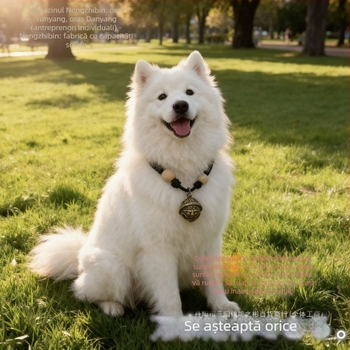 Colier pentru animale de companie: țesut, cu zirconiu din cupru, lanț tip porumb, pandant din poliester, stil pastoral