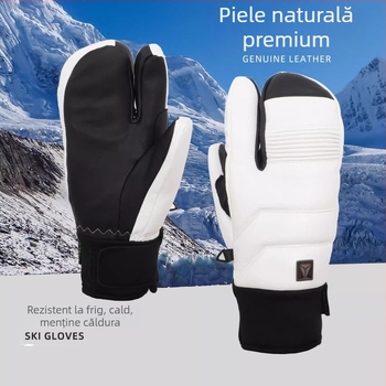 LTVT Mănuși de schi din piele – Neutre din punct de vedere al genului, pentru toate grupele de vârstă