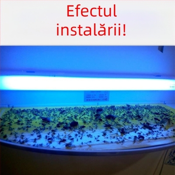 Lampă lipicioasă pentru țânțari, montată pe perete, pentru restaurante și hoteluri, capcana cu lumină UV, acoperire 61 m²+, carcasă ABS, garanție 1 an