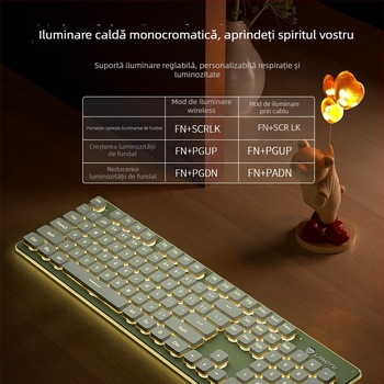 Tastatură cu fir L1, senzație mecanică, 104 taste, iluminare monocromă, model L1