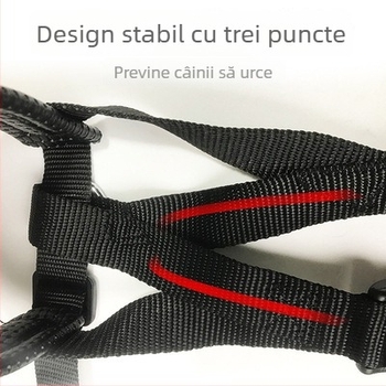 Muzzle de dresaj pentru câini, material: flori de mătase, fără import, fără drepturi IP