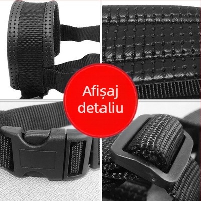 Muzzle de dresaj pentru câini, material: flori de mătase, fără import, fără drepturi IP