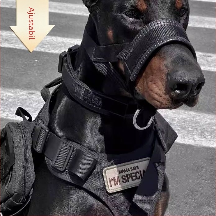 Muzzle de dresaj pentru câini, material: flori de mătase, fără import, fără drepturi IP