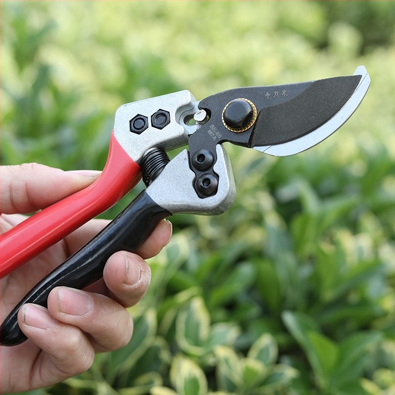 Foarfece de tăiat crengi cu lamă din oțel SK5, pentru grădină și agricultură, design care economisește efort