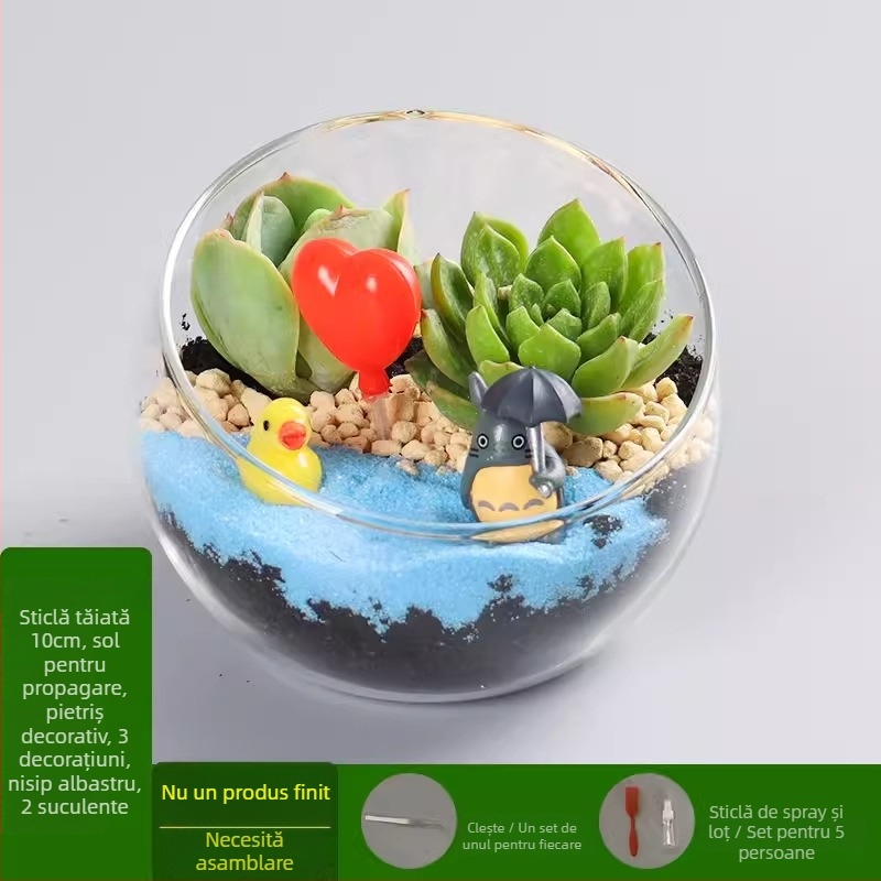 Kit DIY pentru peisaj mini cu mușchi și suculente într-o sferă din sticlă borosilicat, brand Xuanyi, ambalaj carton, pentru așezare pe birou