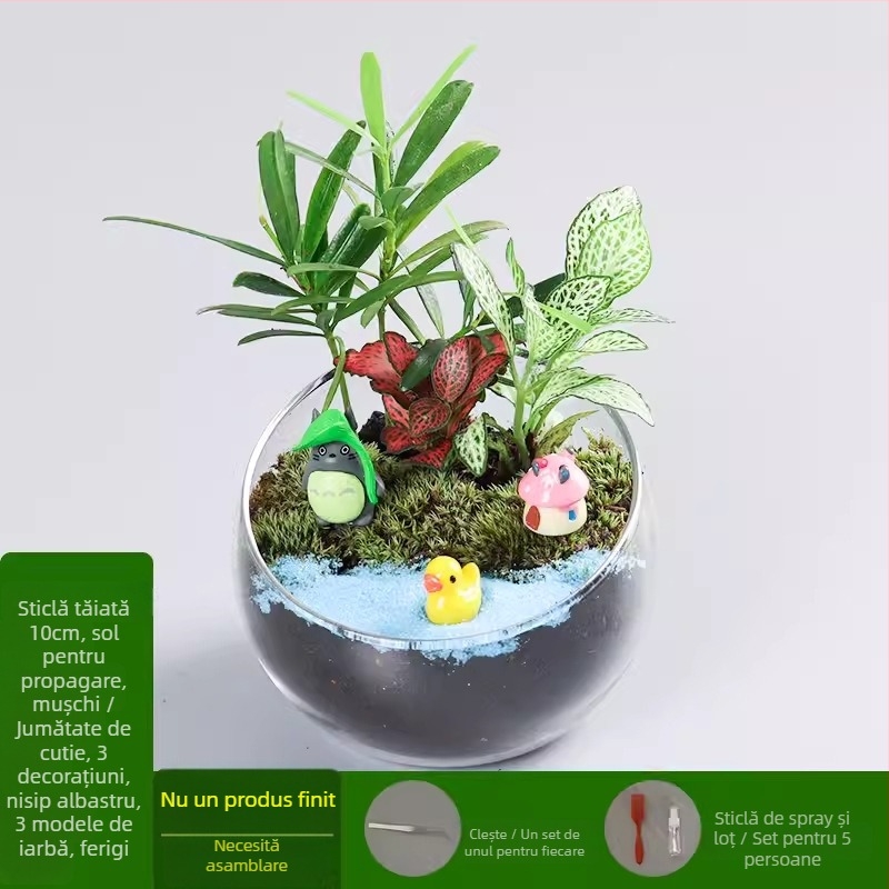 Kit DIY pentru peisaj mini cu mușchi și suculente într-o sferă din sticlă borosilicat, brand Xuanyi, ambalaj carton, pentru așezare pe birou