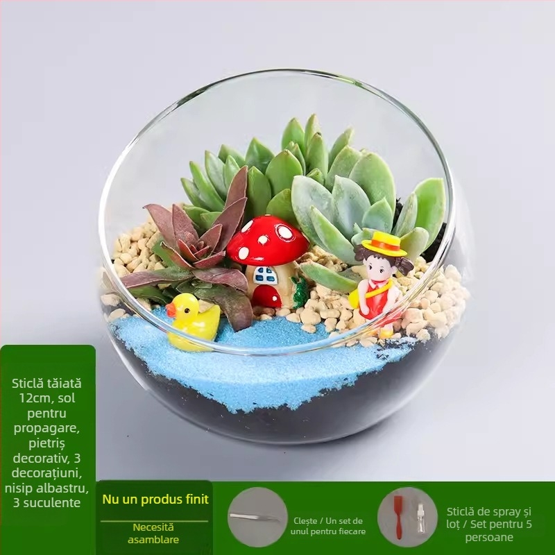 Kit DIY pentru peisaj mini cu mușchi și suculente într-o sferă din sticlă borosilicat, brand Xuanyi, ambalaj carton, pentru așezare pe birou