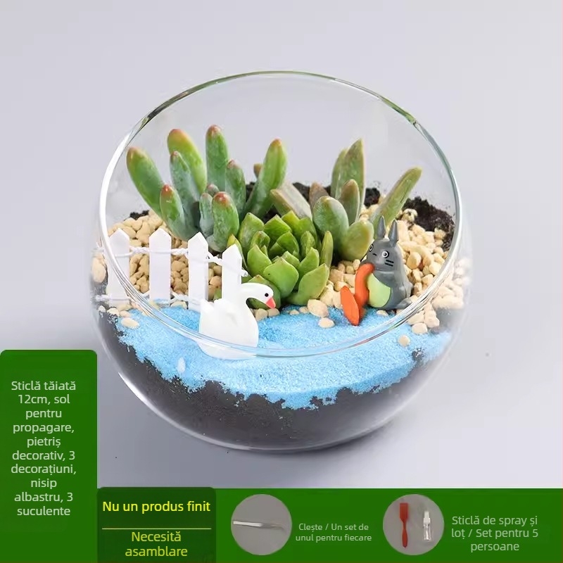 Kit DIY pentru peisaj mini cu mușchi și suculente într-o sferă din sticlă borosilicat, brand Xuanyi, ambalaj carton, pentru așezare pe birou