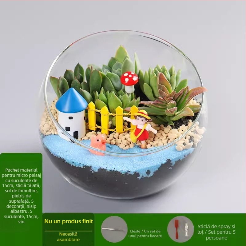 Kit DIY pentru peisaj mini cu mușchi și suculente într-o sferă din sticlă borosilicat, brand Xuanyi, ambalaj carton, pentru așezare pe birou