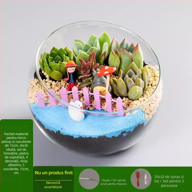 Kit DIY pentru peisaj mini cu mușchi și suculente într-o sferă din sticlă borosilicat, brand Xuanyi, ambalaj carton, pentru așezare pe birou