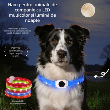 Guler LED din silicon pentru câine, încărcare Type-C, lumină nocturnă intermitentă