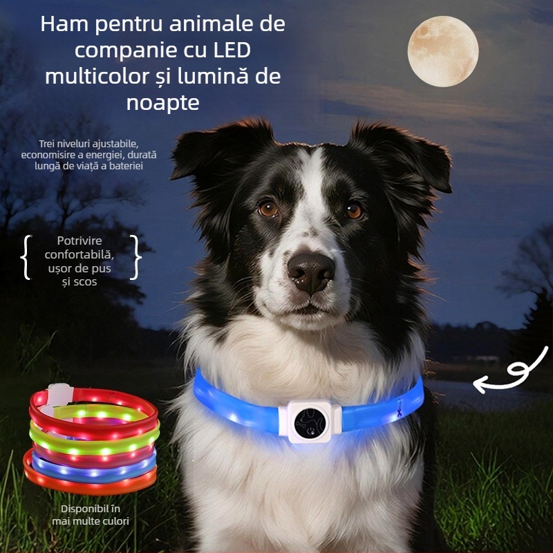 Guler LED din silicon pentru câine, încărcare Type-C, lumină nocturnă intermitentă