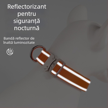 Colier pentru animale de companie cu cataramă reglabilă și lesă • model monocrom • material nylon • marcă Barnu Eagle • utilizare generală • patru sezoane