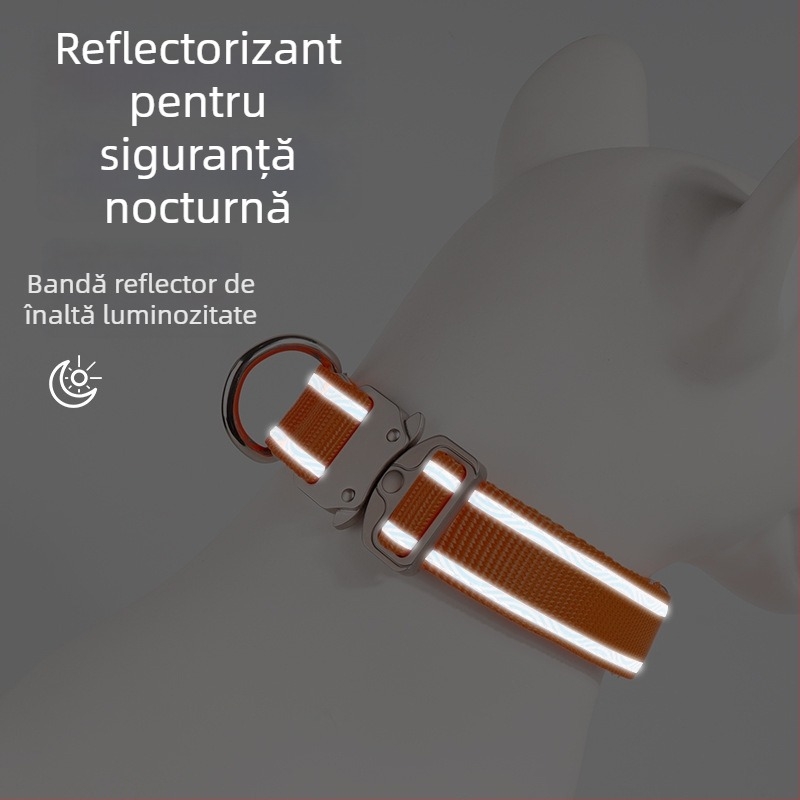 Colier pentru animale de companie cu cataramă reglabilă și lesă • model monocrom • material nylon • marcă Barnu Eagle • utilizare generală • patru sezoane