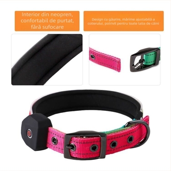Colier LED pentru câine cu bandă reflectorizantă imprimată, încărcare USB, poliester