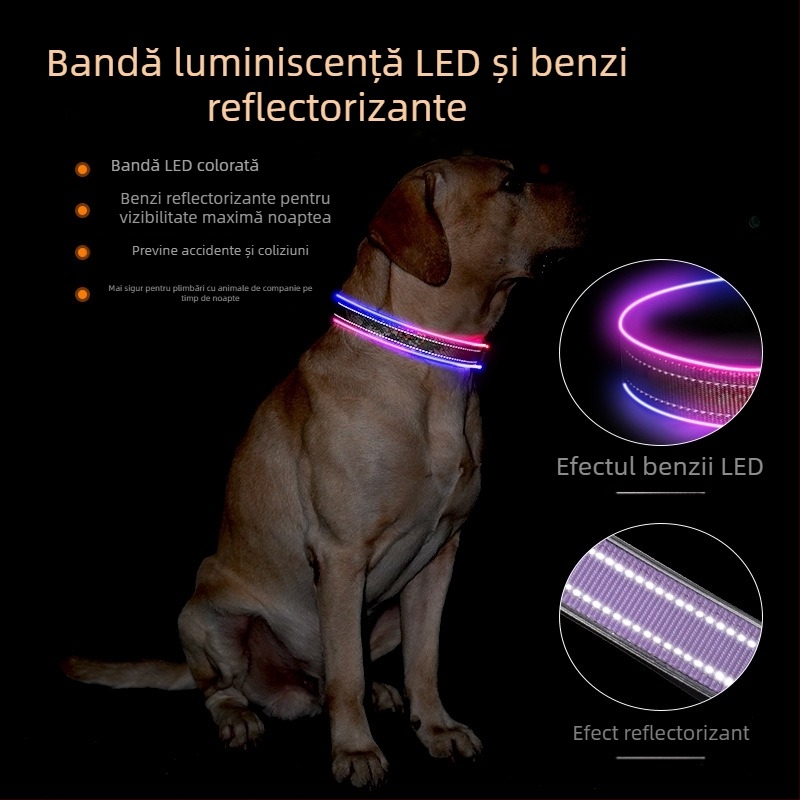 Colier LED pentru câine cu bandă reflectorizantă imprimată, încărcare USB, poliester