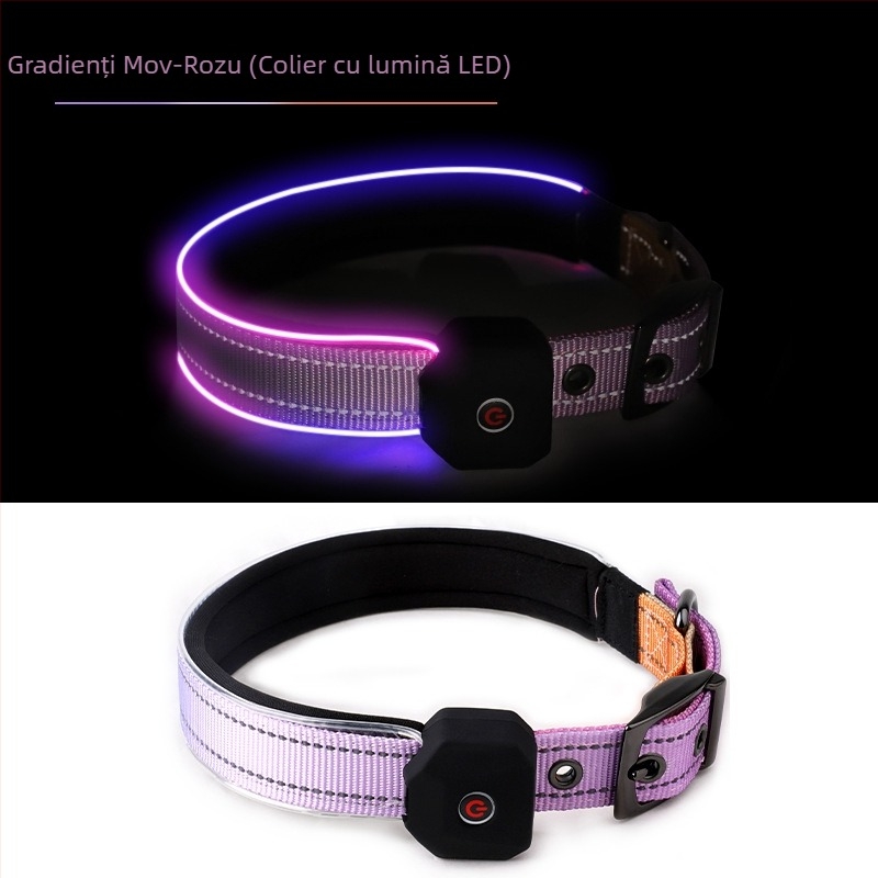 Colier LED pentru câine cu bandă reflectorizantă imprimată, încărcare USB, poliester