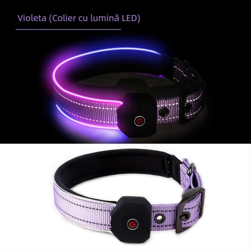 Colier LED pentru câine cu bandă reflectorizantă imprimată, încărcare USB, poliester