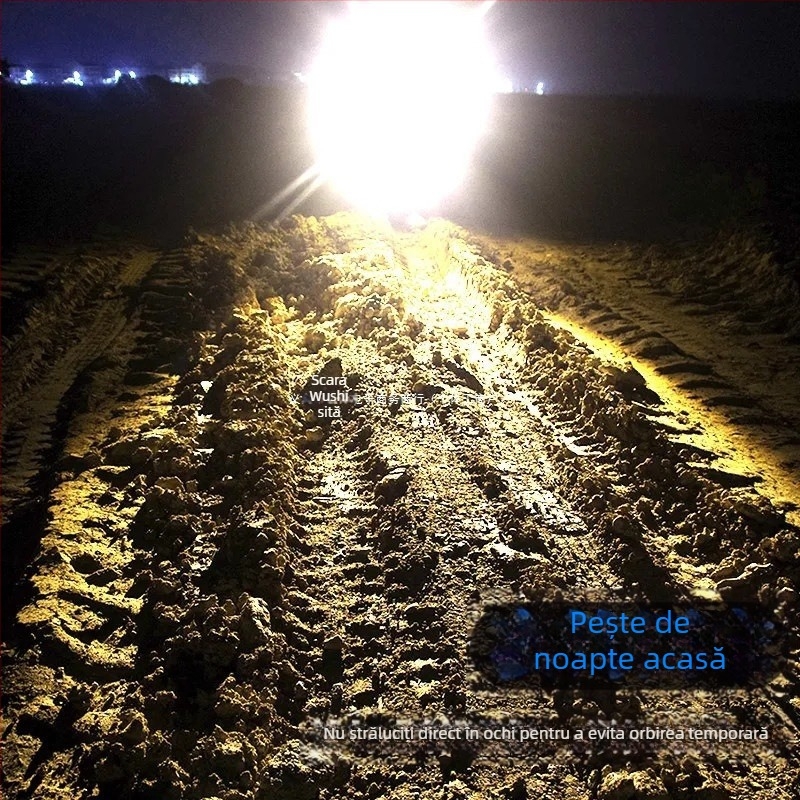 Lumină de pescuit de noapte cu patru surse de lumină, baterie 8000mAh, putere 10W, rază de acțiune 200–500 m, rotație la 360°, reîncărcabilă