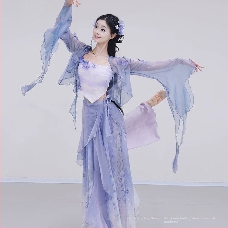 Costum nou de dans clasic cu tul gradient violet și fluturi, pentru reprezentații și repetiții de dans chinezesc