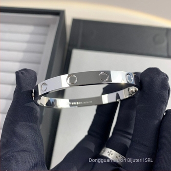 Brățară din oțel titan, electroplacare, stil unisex, 30 g, brand Good fortune, cod Lx-004