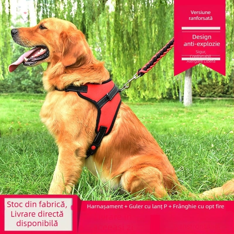 Ham K9 pentru câini, lesă pentru toate mărimile: mici, mijlocii și mari