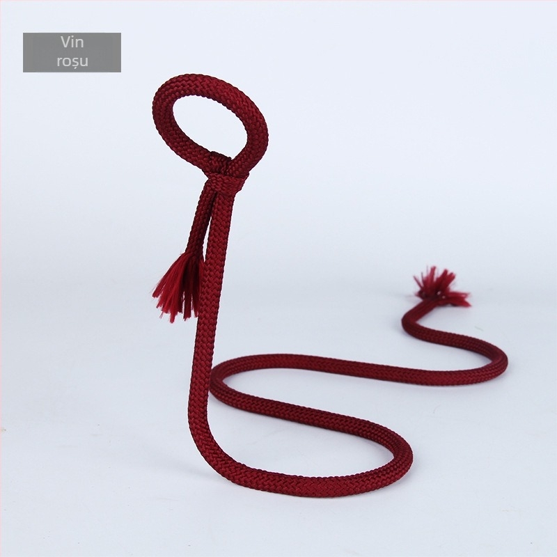 Raft de vin cu sfoară de suspensie, sârmă din fier, stil modern minimalist, afișare înclinată