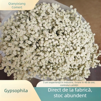 Buchet de flori păstrate Starry Sky, flori conservate, 400–500 g