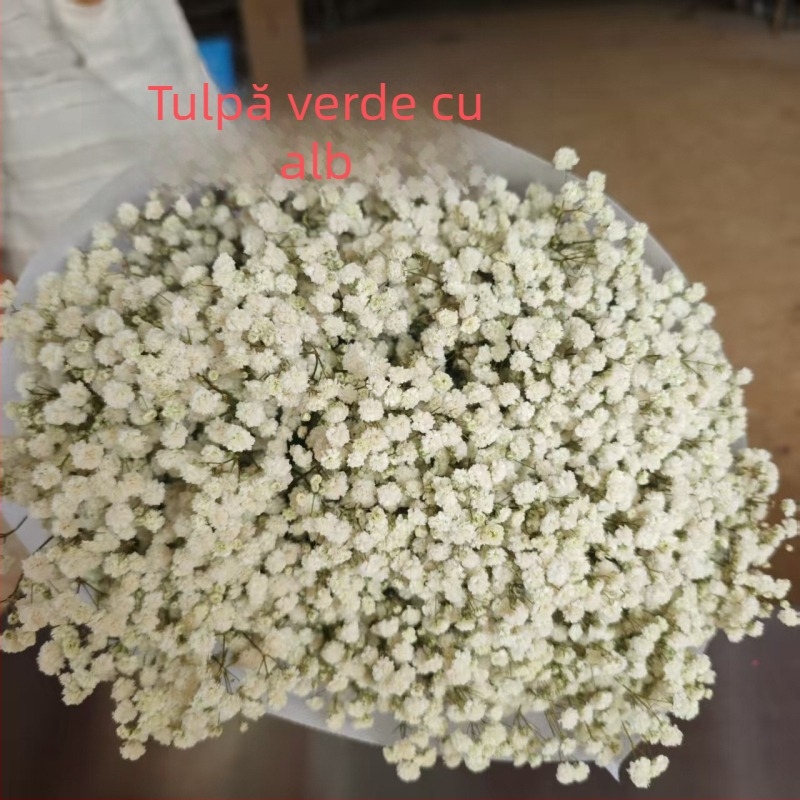 Buchet de flori păstrate Starry Sky, flori conservate, 400–500 g