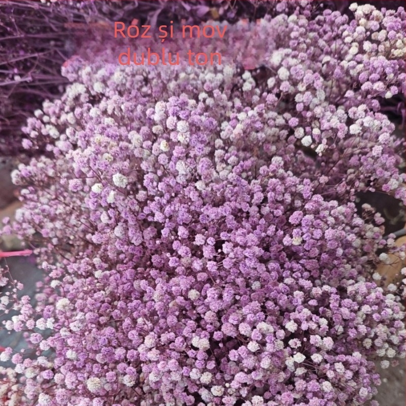 Buchet de flori păstrate Starry Sky, flori conservate, 400–500 g