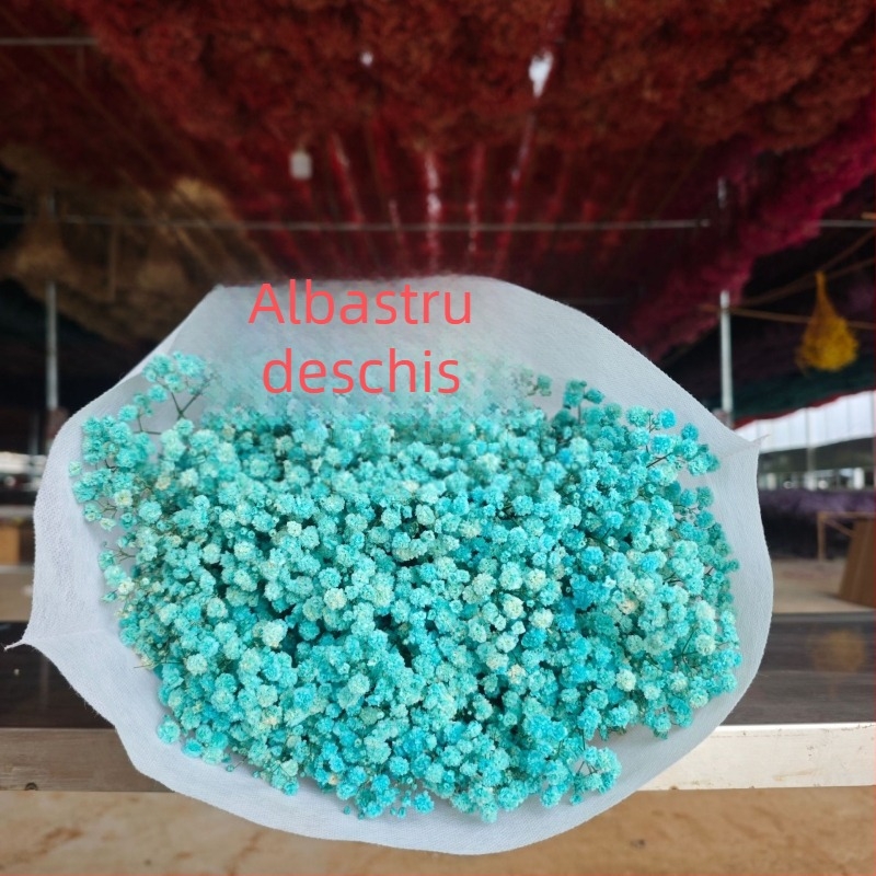 Buchet de flori păstrate Starry Sky, flori conservate, 400–500 g