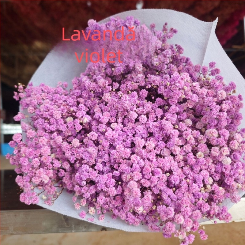 Buchet de flori păstrate Starry Sky, flori conservate, 400–500 g