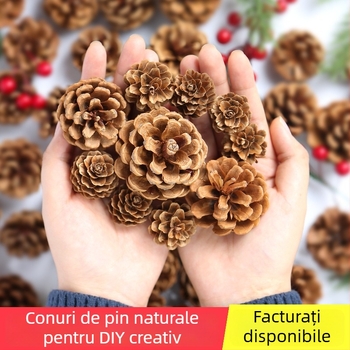 Geantă cu flori uscate, marca Tong Meng; Material: 31021386361; Varianta: 31021386362; Ambalare: în pungă