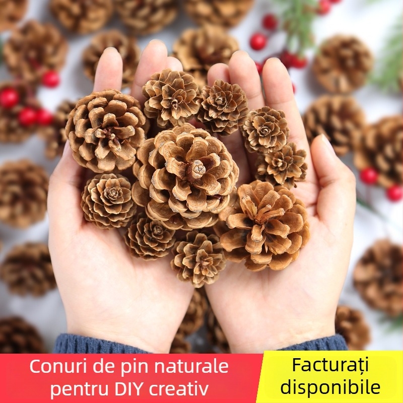 Geantă cu flori uscate, marca Tong Meng; Material: 31021386361; Varianta: 31021386362; Ambalare: în pungă