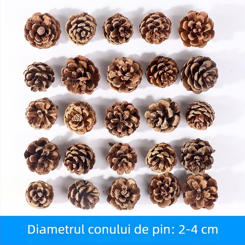 Geantă cu flori uscate, marca Tong Meng; Material: 31021386361; Varianta: 31021386362; Ambalare: în pungă