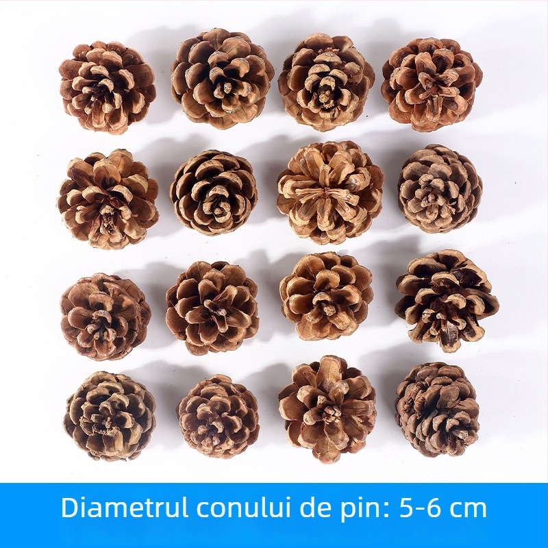 Geantă cu flori uscate, marca Tong Meng; Material: 31021386361; Varianta: 31021386362; Ambalare: în pungă