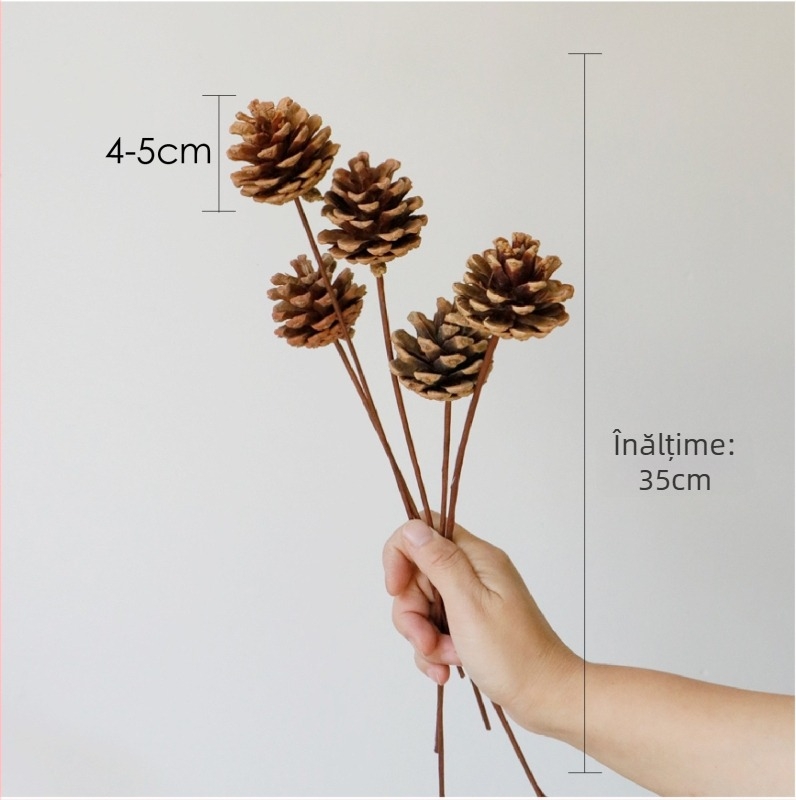 Buchet de flori uscate, stil Wabi-Sabi, varietate Forget-me-not, necolorat, ambalat în pungă Opp