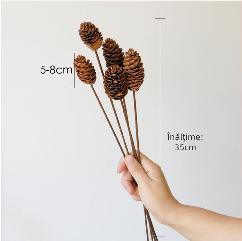 Buchet de flori uscate, stil Wabi-Sabi, varietate Forget-me-not, necolorat, ambalat în pungă Opp