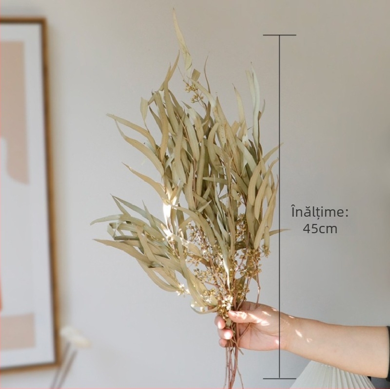 Buchet de flori uscate, stil Wabi-Sabi, varietate Forget-me-not, necolorat, ambalat în pungă Opp