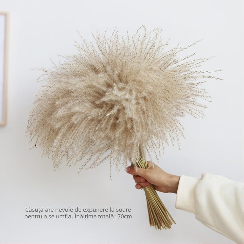 Buchet de flori uscate, stil Wabi-Sabi, varietate Forget-me-not, necolorat, ambalat în pungă Opp