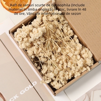 Floare – Gypsophila uscată Starry Sky, vopsită, kit DIY buchet în cutie
