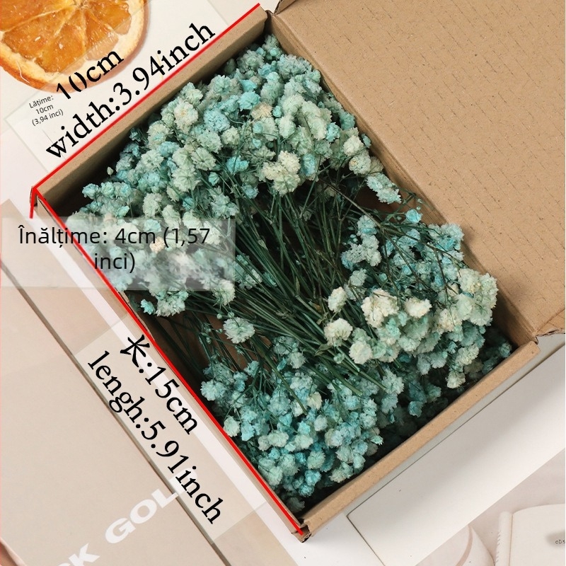 Floare – Gypsophila uscată Starry Sky, vopsită, kit DIY buchet în cutie